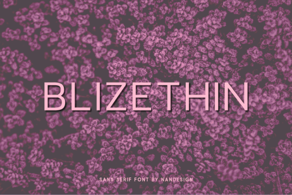 Blizethin: A Modern Sans Serif Font for Handmade Brands