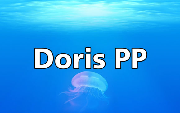 Doris PP: A Versatile Sans Serif Font for Small Business Branding