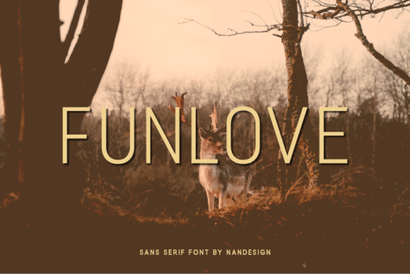 Funlove Font: The Modern Typeface for Bold Campaigns