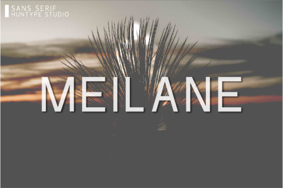 Meilane Font Review: A Clean Sans Serif for Modern Campaigns