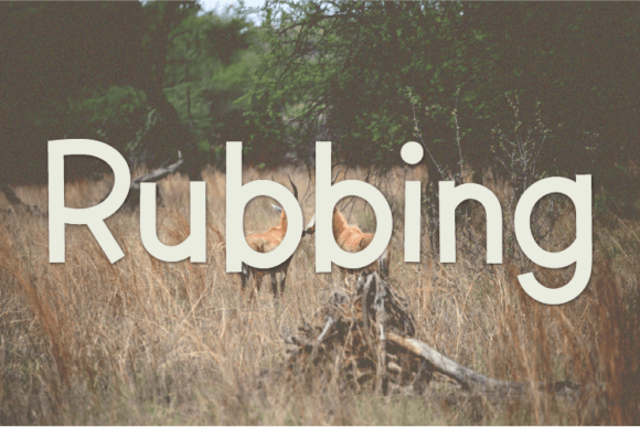 Rubbing: A Bold Sans Serif Font for Makers