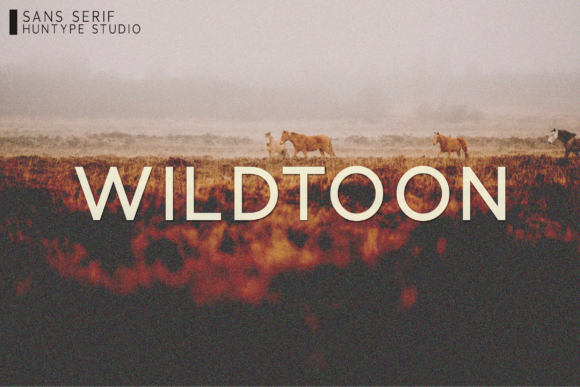 Wildtoon: A Versatile Sans Serif Font for Makers
